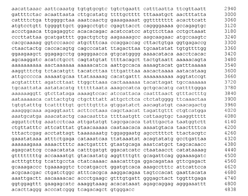 Gene Sequence