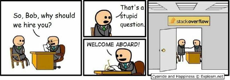 Stackoverflow Job Interview